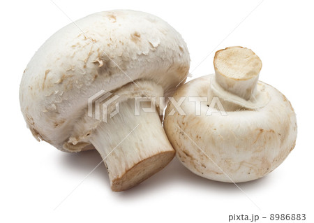 Champignon mushrooms 8986883