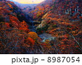 般若滝 般若滝 8987054