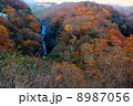 方等滝 方等滝 8987056
