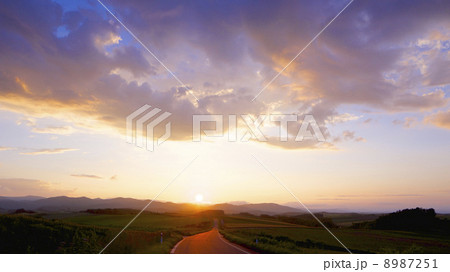 夕暮れの丘の道 8987251