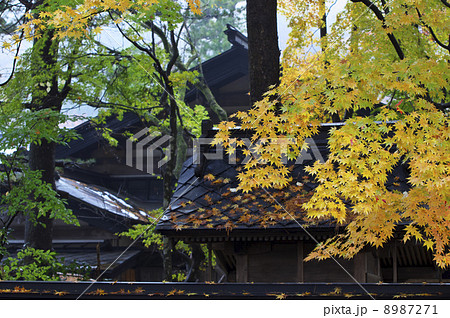 美しい角館武家屋敷の紅葉 美しい角館武家屋敷の紅葉 8987271