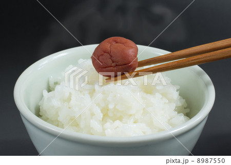 白御飯 白御飯 8987550