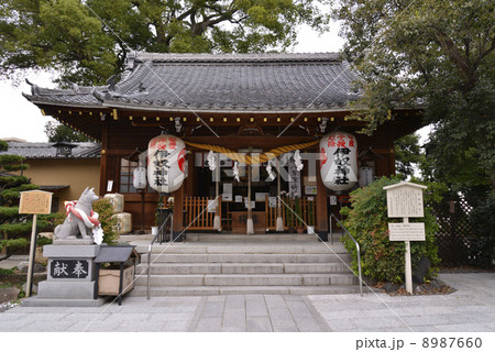 伊奴神社(いぬじんじゃ) 伊奴神社(いぬじんじゃ) 8987660