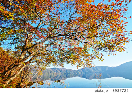 紅葉のクッタラ湖 紅葉のクッタラ湖 8987722