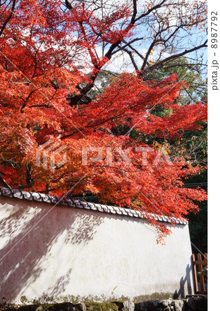 久安寺の紅葉 久安寺の紅葉 8987792