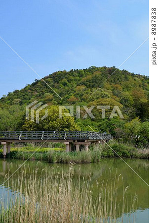 曽根沼 曽根沼 8987838