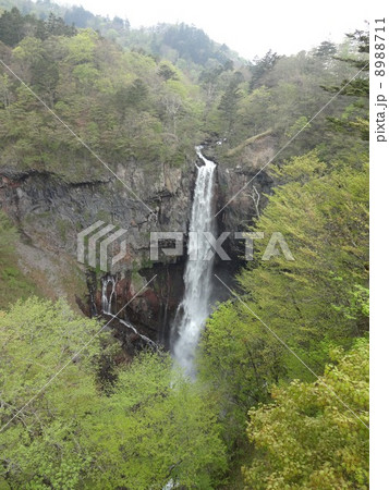 華厳の滝 華厳の滝 8988711