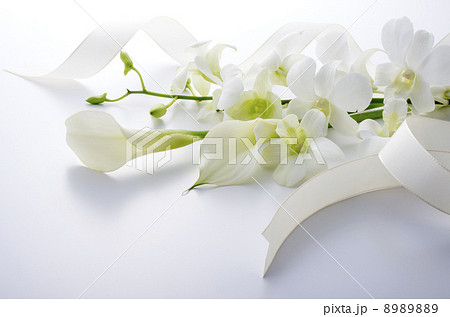 プレゼント 8989889