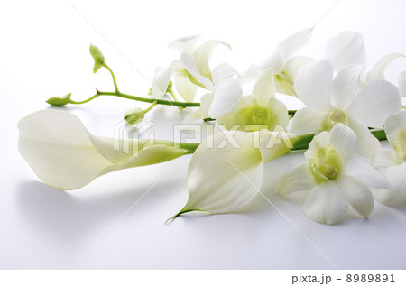 花束 花束 8989891