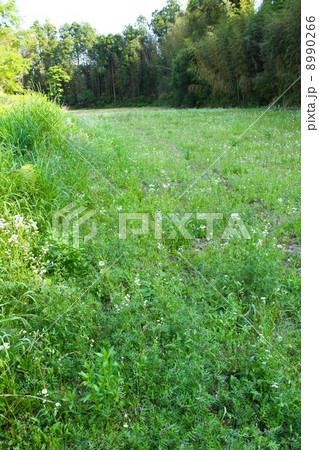 休耕田 休耕田 8990266