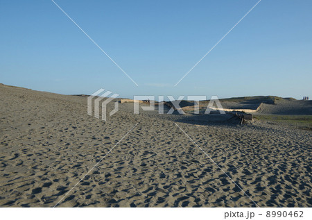 中田島砂丘（静岡県） 8990462