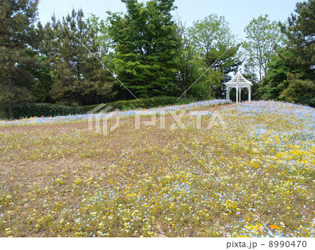 ブルーボネット（名古屋） 8990470