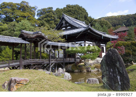 高台寺　観月台と開山堂 8990927