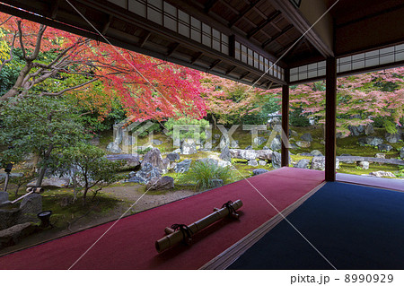 高台寺圓徳院　紅葉の北庭 8990929