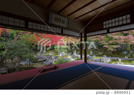 高台寺圓徳院 紅葉の北庭 高台寺圓徳院 紅葉の北庭 8990931