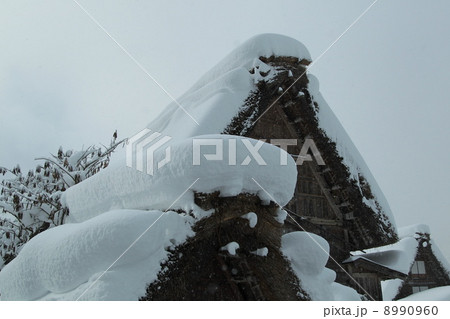雪の合掌造り 8990960