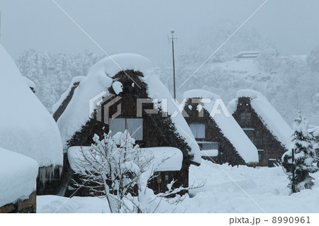 冬の白川郷 8990961
