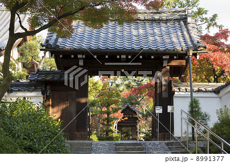 建仁寺塔頭　西来院の門 8991377