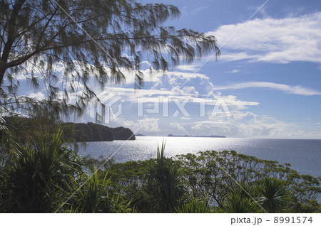 パラオ共和国　アラカベサン島 8991574