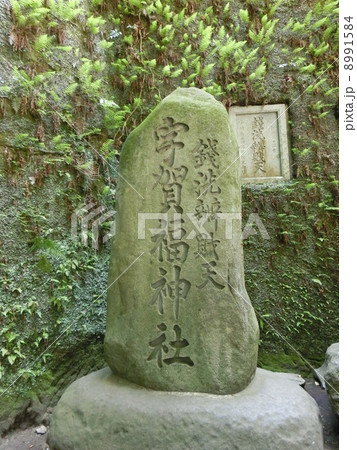 銭洗い弁天 8991584