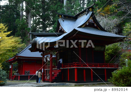 花園神社 社殿 花園神社 社殿 8992014