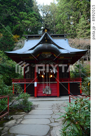 花園神社 社殿 花園神社 社殿 8992015