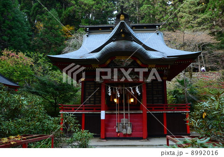 花園神社　社殿 8992016