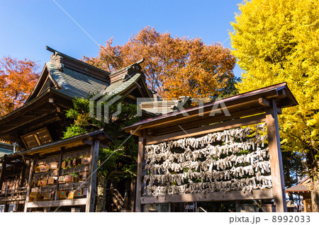 おみくじ 8992033