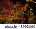 秋の播州清水寺 8992090