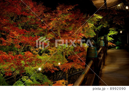 秋の播州清水寺 8992090