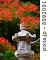 篠山・高蔵寺 8992091