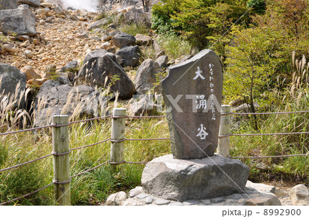 箱根　大湧谷 8992900