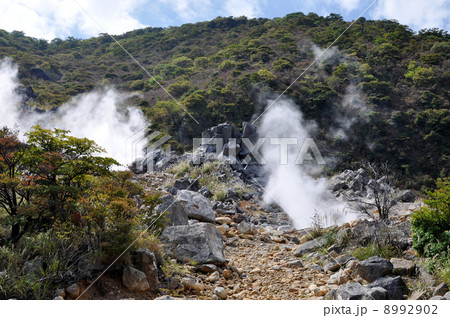 箱根　大湧谷 8992902