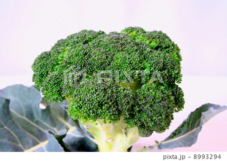ブロッコリー ブロッコリー 8993294