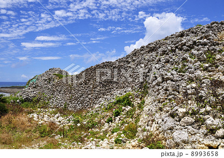 具志川城址 8993658