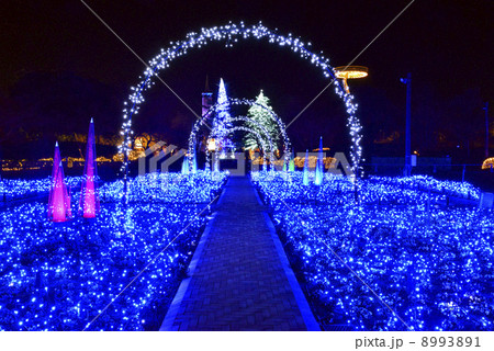 なばなの里イルミネーション 8993891