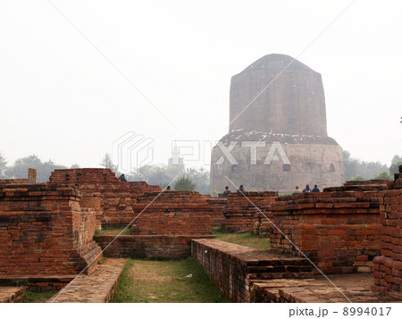 ダメーク・ストゥーパ ダメーク・ストゥーパ 8994017