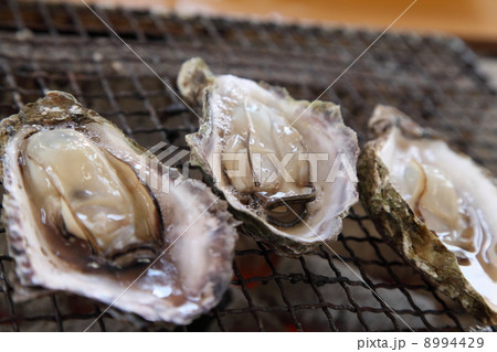 殻付焼き牡蠣 8994429