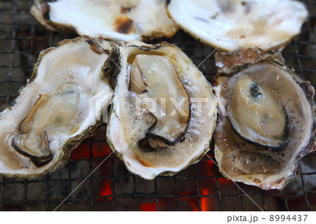 殻付焼き牡蠣 8994437