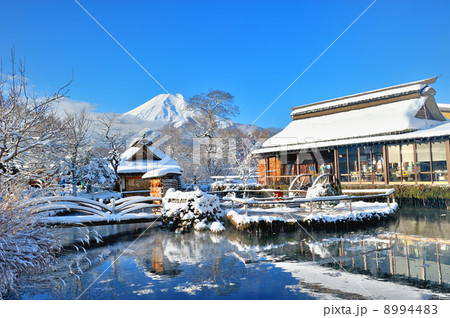 忍野八海と富士山 8994483