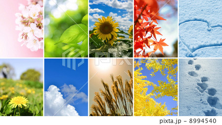 季節の写真 8994540