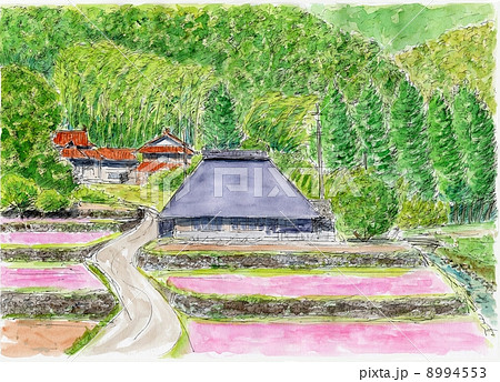 里山の早春 8994553