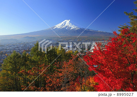 富士山と紅葉　 8995027