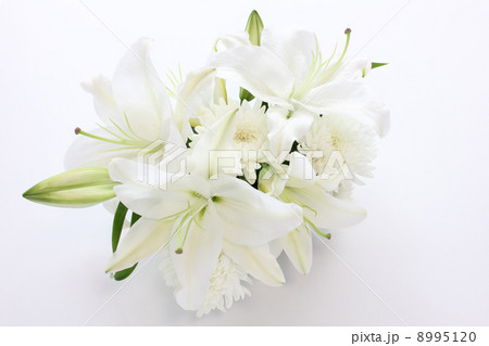 白百合と白菊のアレンジ(横 左) 白百合と白菊のアレンジ(横 左) 8995120