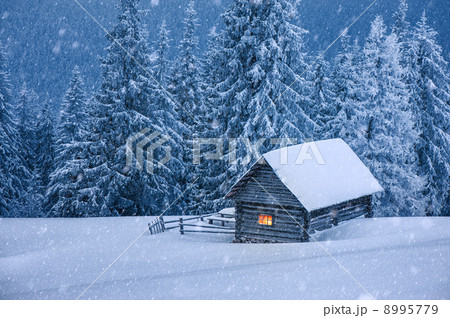 house house 8995779