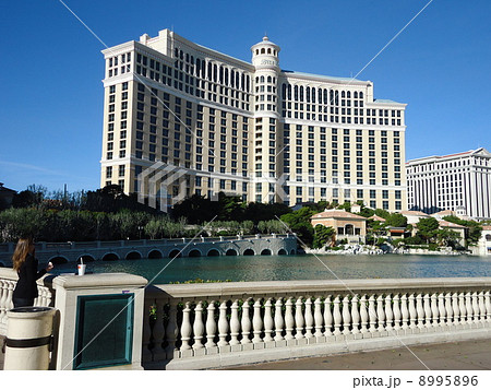 日中、ベラッジオの池のほとりでたたずむ女性 8995896