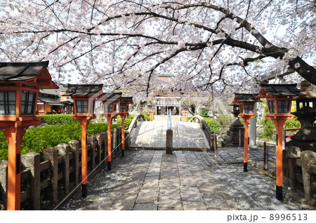 京都　六孫王神社 8996513
