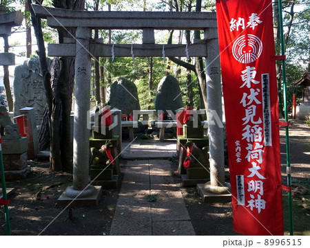 東伏見稲荷神社 8996515