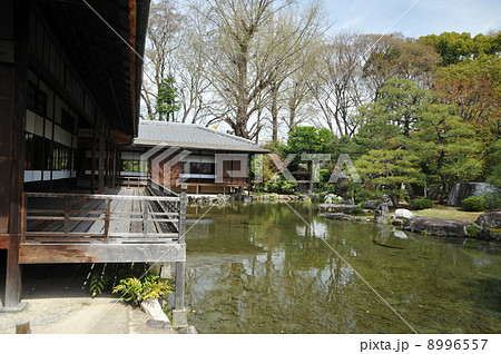 京都 渉成園(枳殻邸) 京都 渉成園(枳殻邸) 8996557