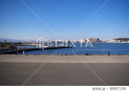 江ノ島の湘南港 8997136